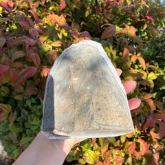 ラベンダーアメジストの画像