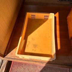 果物　カゴ
の画像