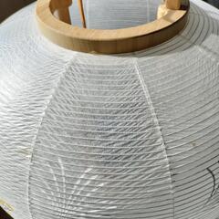 お盆用飾り提灯 白木 の画像