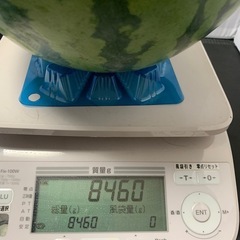 すいか　　8.46キロの画像