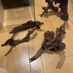 ADA30cmキューブ水槽
　流木4本セットの画像
