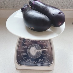 茄子🍆2ケの画像