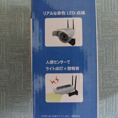 LED ダミーカメラの画像