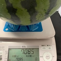 すいか　7.08キロ　　の画像
