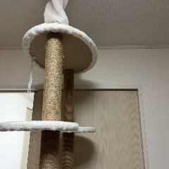 キャットタワー天井突っ張り透明ドームハンモック (nekonek301