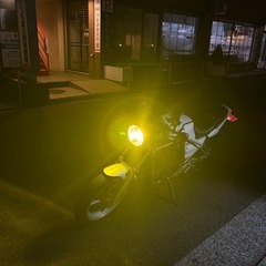 YAMAHA SRX250の画像