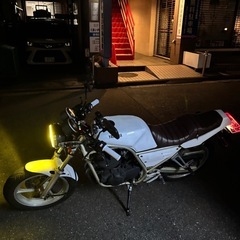 YAMAHA SRX250の画像