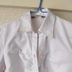 レディースシャツ　P.S.F.A  7号　薄ピンクの画像