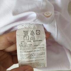 レディースシャツ　P.S.F.A  7号　薄ピンクの画像