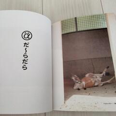 動物アルファ図鑑　の画像