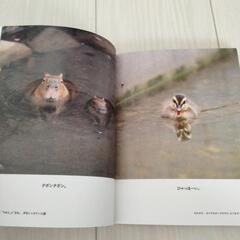 動物アルファ図鑑　の画像