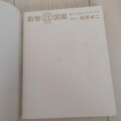 動物アルファ図鑑　の画像