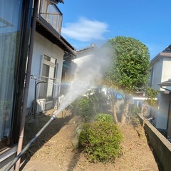 伐採、剪定、草刈りなどのお仕事ですの画像