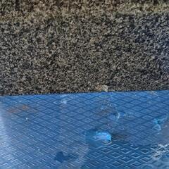 黒系の花崗岩　御影石　彫刻有り　駐車禁止の画像