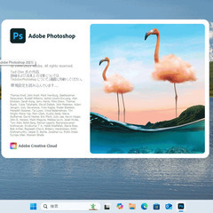 NEC LAVIE Direct PC-NS-600MAW  Windows11 Morisawa Font220書体ほかの画像