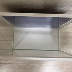 小型水槽2の画像