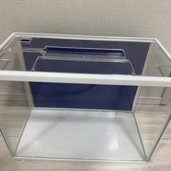 小型水槽2の画像