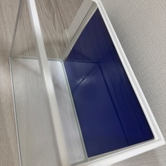 小型水槽2の画像