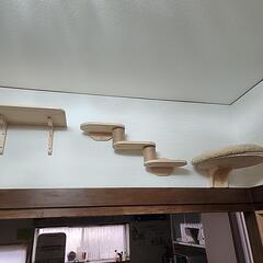 (新品)キャットウォーク備品の画像