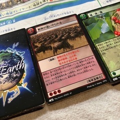 地球環境カードゲーム　マイアースの画像