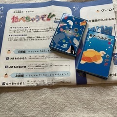 地球環境カードゲーム　マイアースの画像
