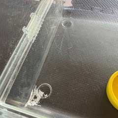 ハムスターゲージの画像