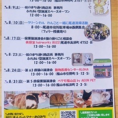 8月9日保護猫との触れ合い型譲渡スペースオープン