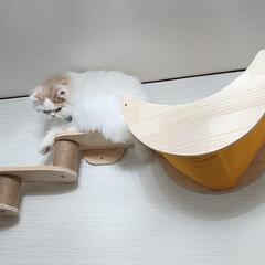 (新品)キャットウォーク備品の画像