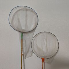 虫取り網 ( 2本セット )の画像