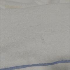 夏のタオルケット2枚の画像