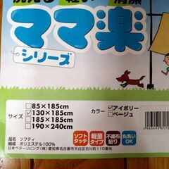 ラグの画像