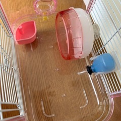 ハムスター飼育セットの画像