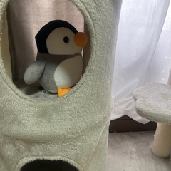 キャットタワー美品の画像