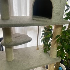 キャットタワー美品の画像