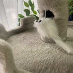 キャットタワー美品の画像
