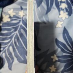 落ちこぼれ白魔道士セシルは対象外のはずでした４巻の画像