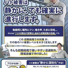 【処分価格】鳩 よけ スプレー 忌避剤 プロ仕様 天然 成分 配合 安心 安全 家庭 用の画像