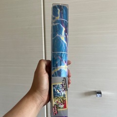 ポケモンセットの画像