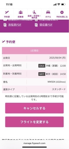 【航空券】沖縄那覇空港⇒東京成田空港