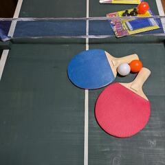 手作りミニミニ卓球台の画像