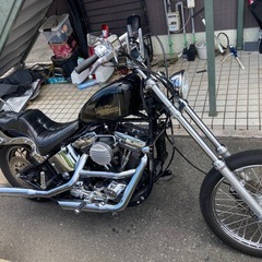 ハーレーダビットソンflstcエボ　　　の画像