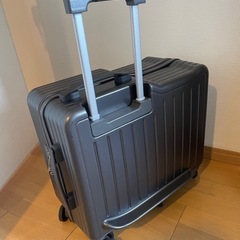 子供が乗れるスーツケース の画像