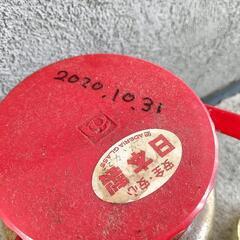 高麗人参　朝鮮人参　漢方の画像