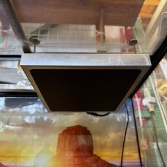 爬虫類 ケージ 飼育ケース 付属品多数　
ケージ  トカゲ ヘビ ヤモリ カメ 両開きガラスケースの画像