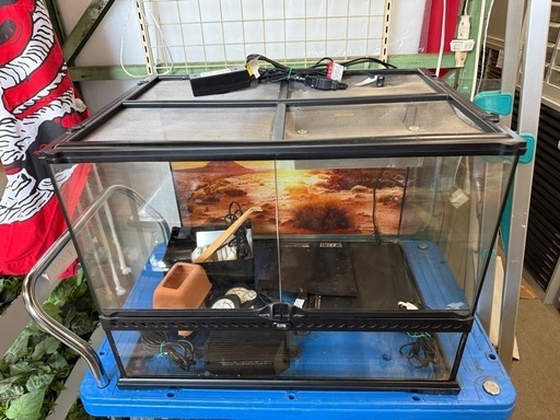 爬虫類 ケージ 飼育ケース 付属品多数　
ケージ  トカゲ ヘビ ヤモリ カメ 両開きガラスケース