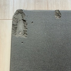 トランポリン　の画像