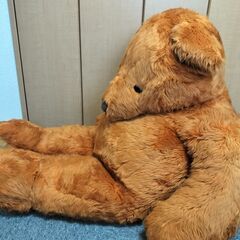 クマのぬいぐるみ　大型の画像