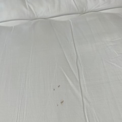 1人用マットの画像