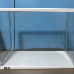 🐠約10L水槽！金魚や熱帯魚に！🐠の画像