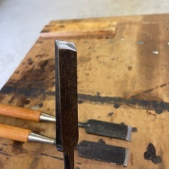 新品手ノミの画像